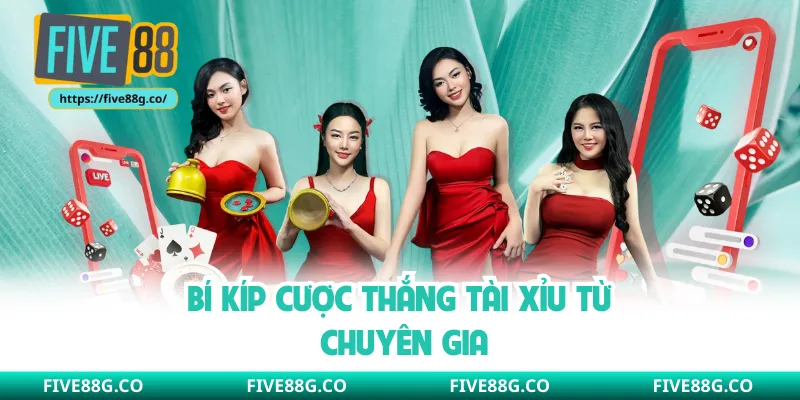 Bí kíp cược thắng tài xỉu từ chuyên gia