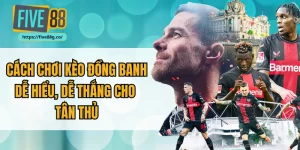 Cách Chơi Kèo Đồng Banh Dễ Hiểu, Dễ Thắng Cho Tân Thủ