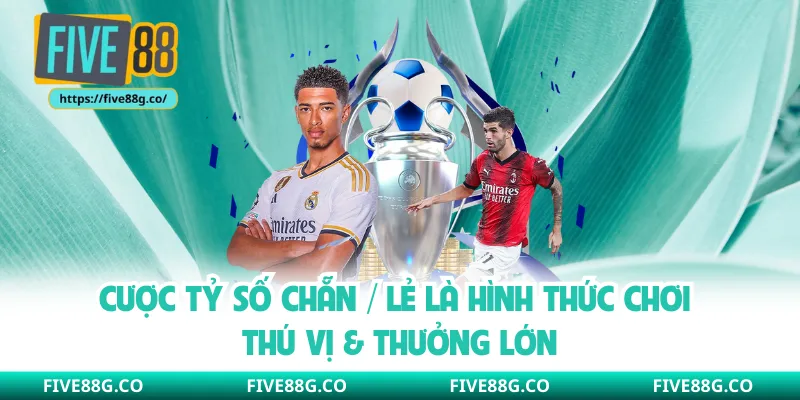 Cược tỷ số chẵn / lẻ là hình thức chơi thú vị & thưởng lớn