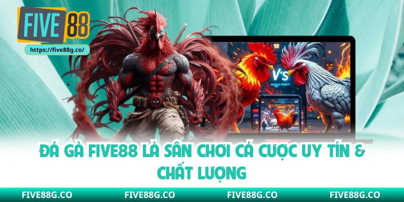 Đá gà Five88 là sân chơi cá cược uy tín & chất lượng