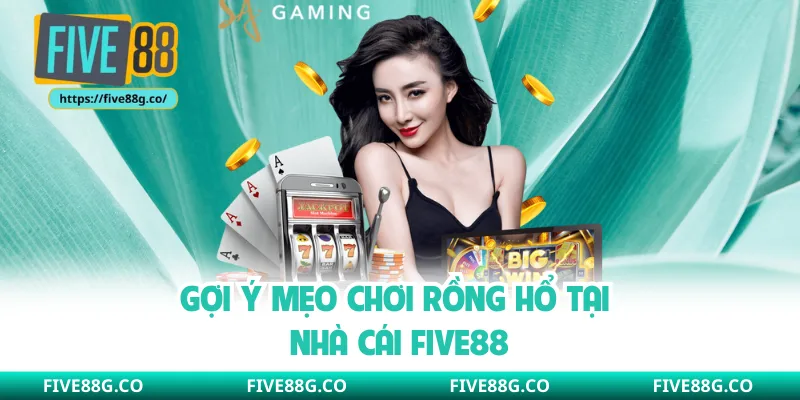 Gợi ý mẹo chơi rồng hổ tại nhà cái Five88