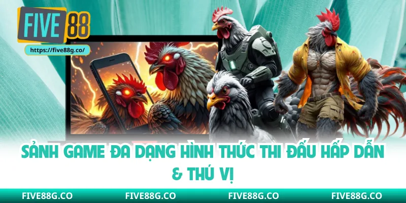Sảnh game đa dạng hình thức thi đấu hấp dẫn & thú vị