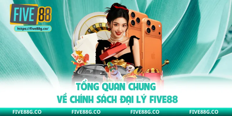 Tổng quan chung về chính sách đại lý Five88